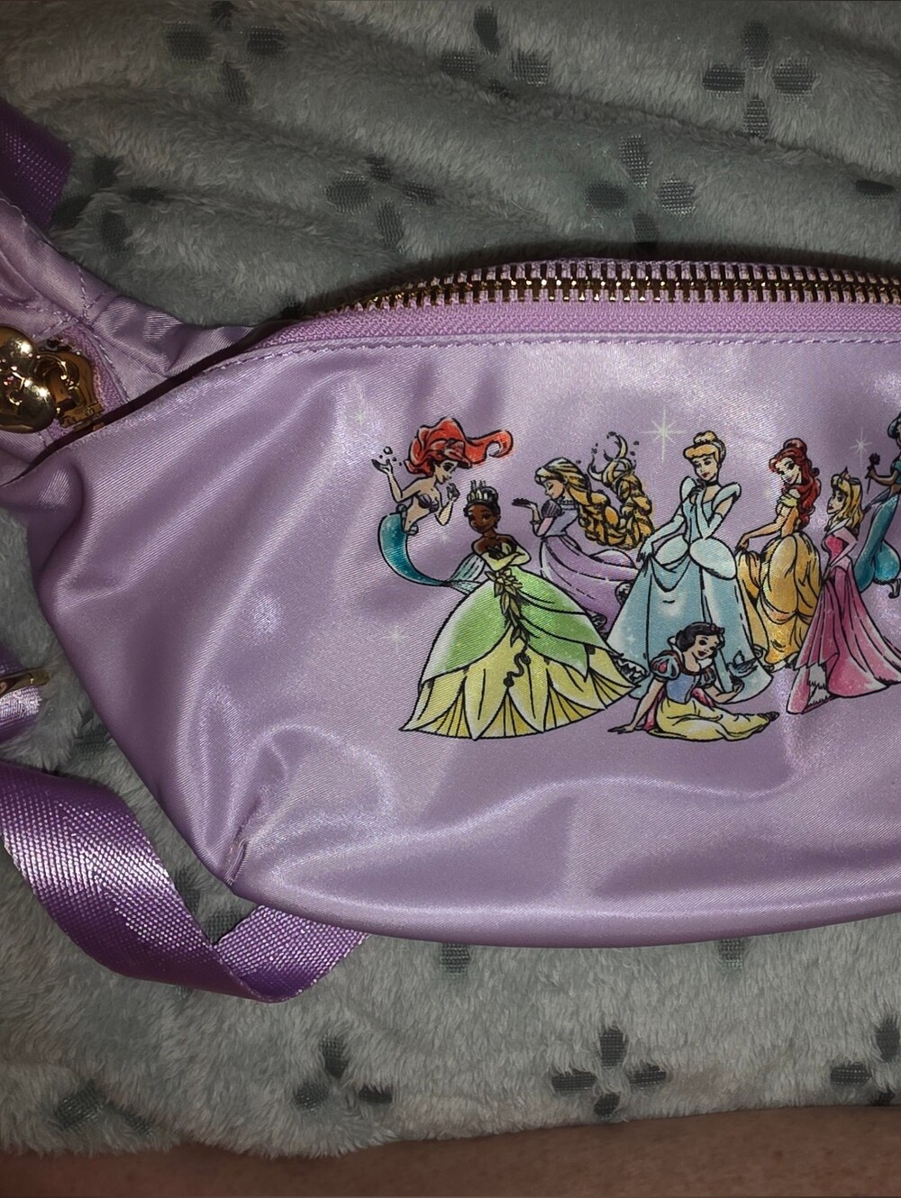 Stoney Clover X Disney Princess Jumbo Fanny EuC